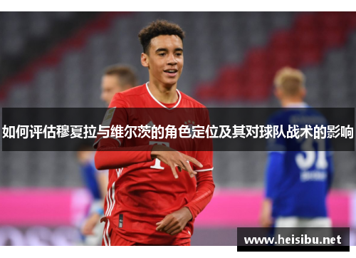 如何评估穆夏拉与维尔茨的角色定位及其对球队战术的影响