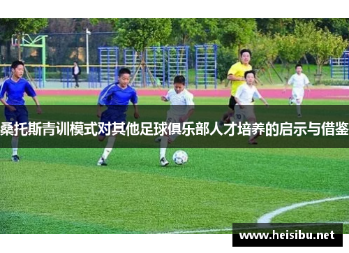 桑托斯青训模式对其他足球俱乐部人才培养的启示与借鉴